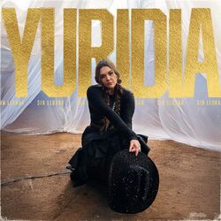 Cover of Sin Llorar