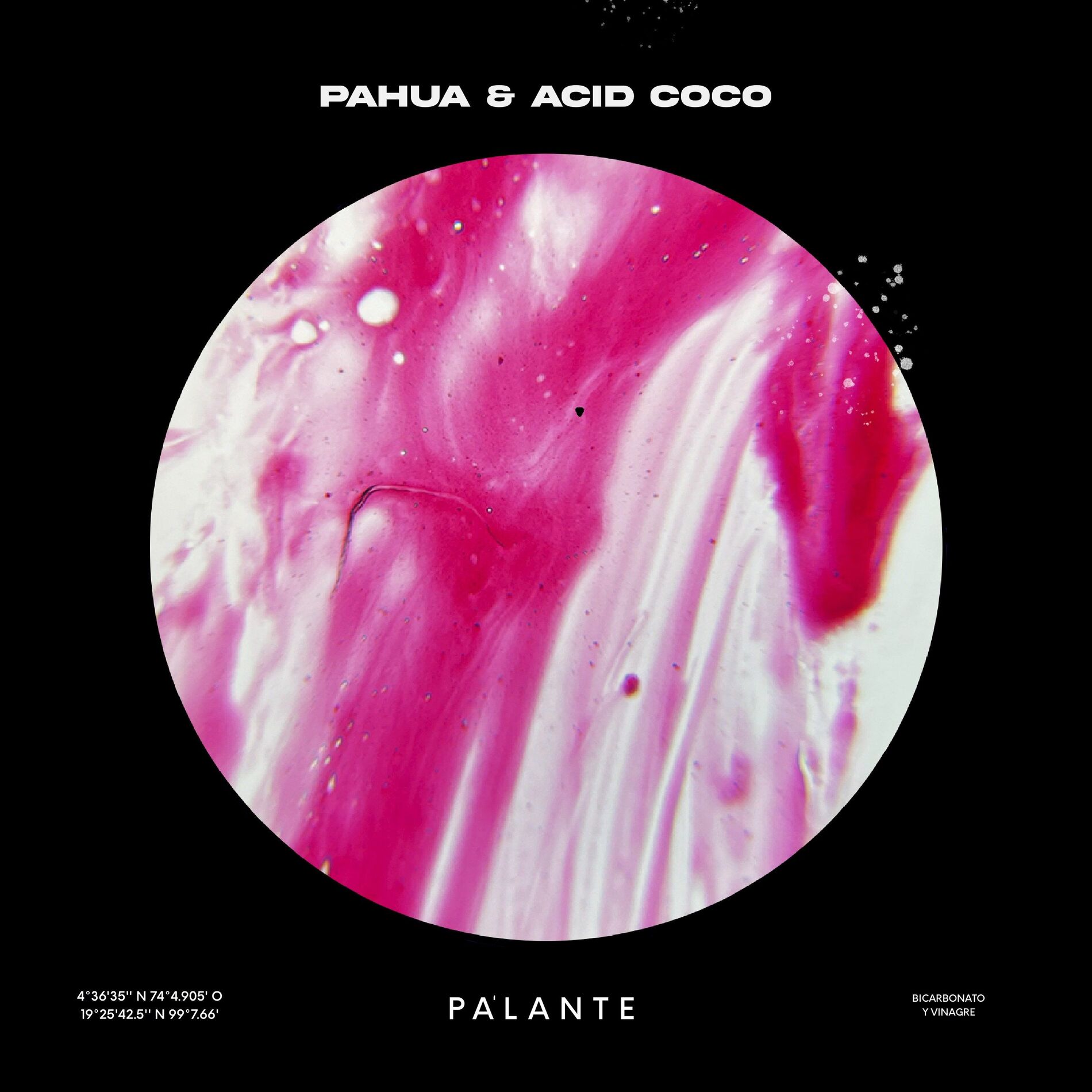Album cover of Pa'lante