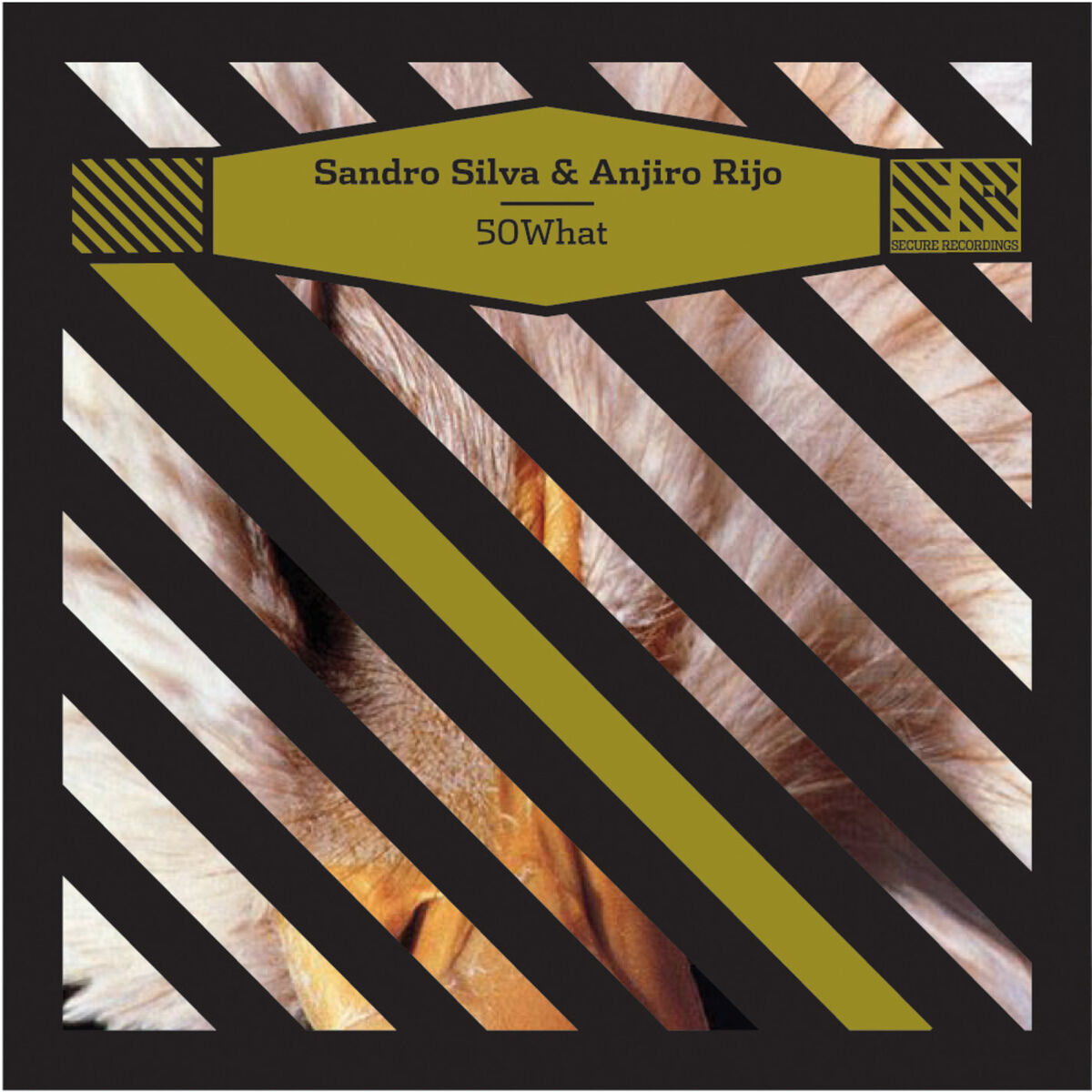 Album cover of Fifty What / Vanilla Candy - EP