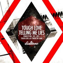 Cover of Telling Me Lies