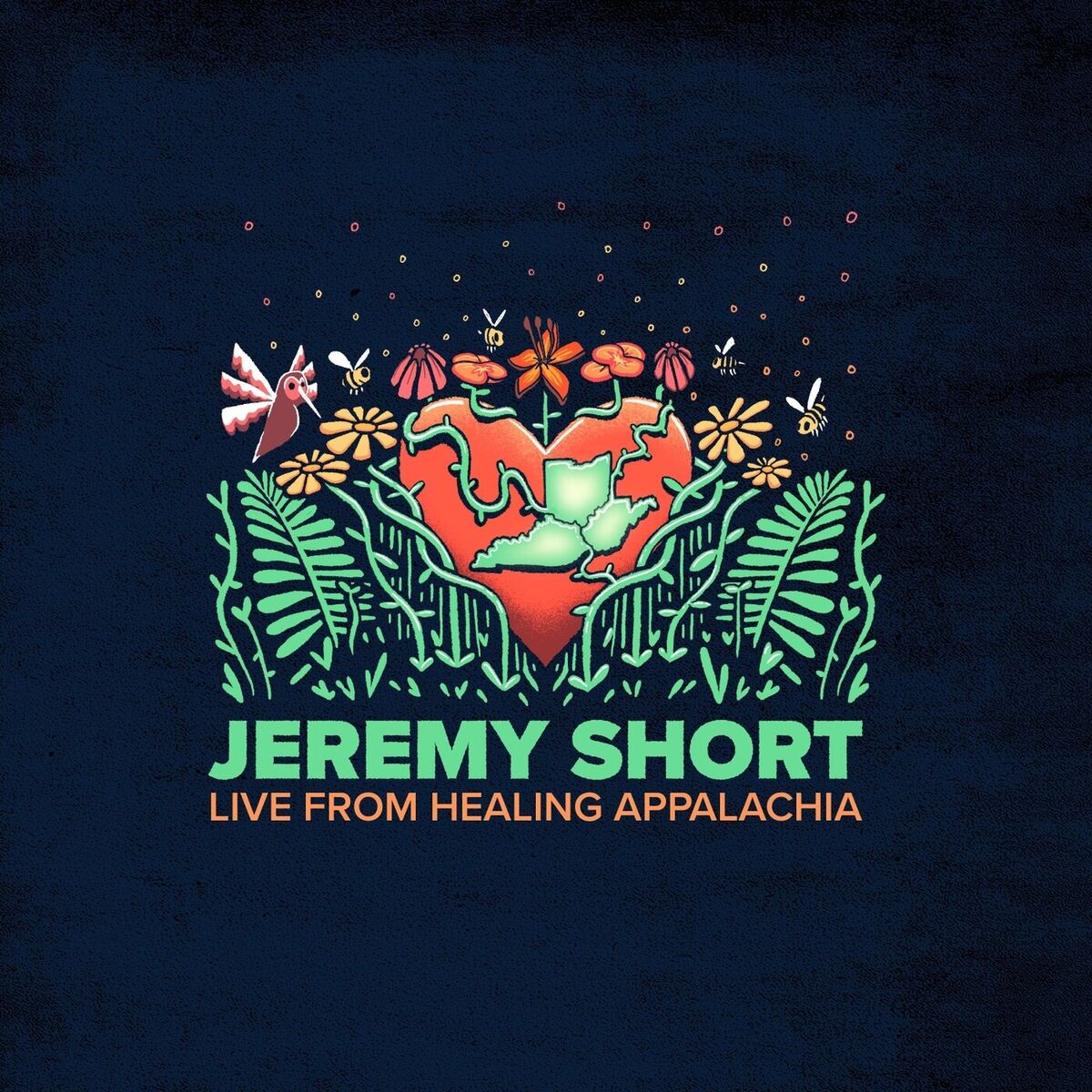 Album cover of Live From Healing Appalachia