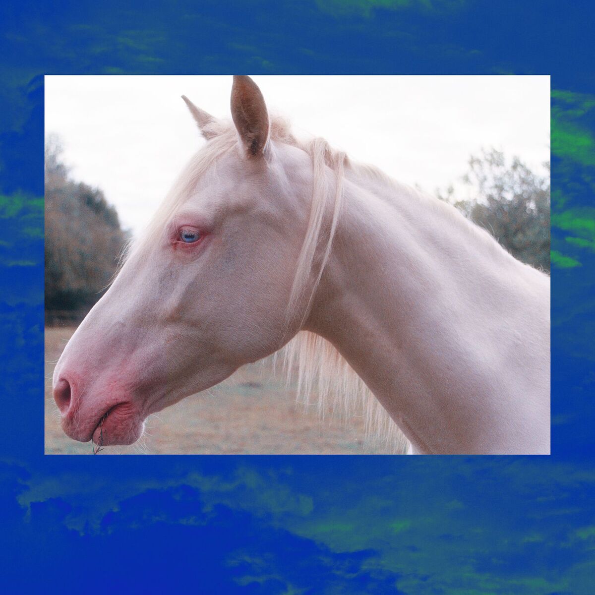 Album cover of Movimento