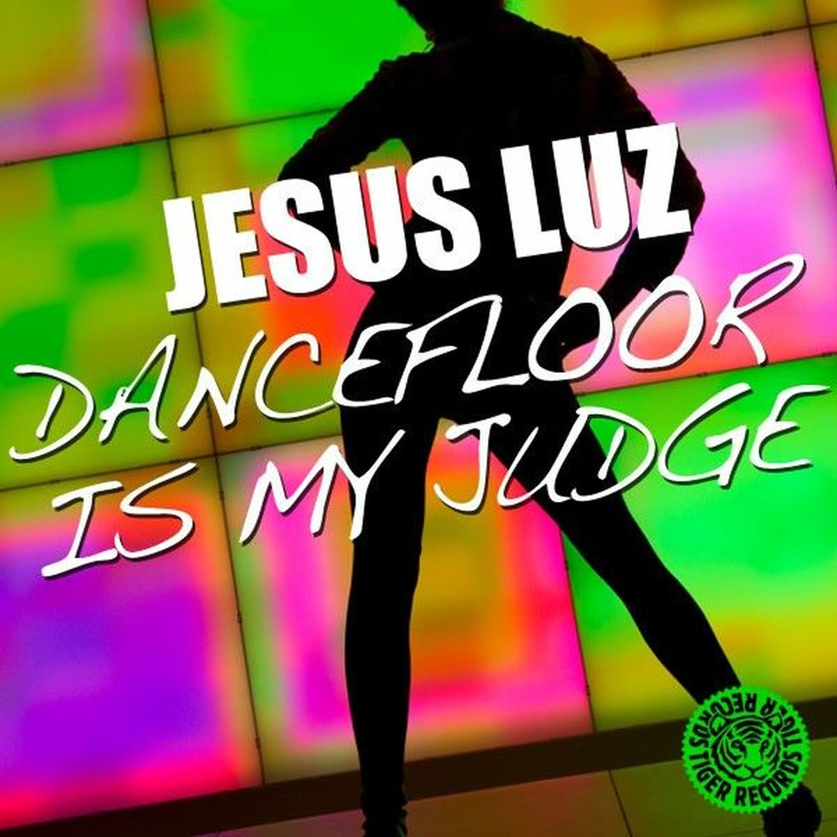 Album cover of Dancefloor Is My Judge