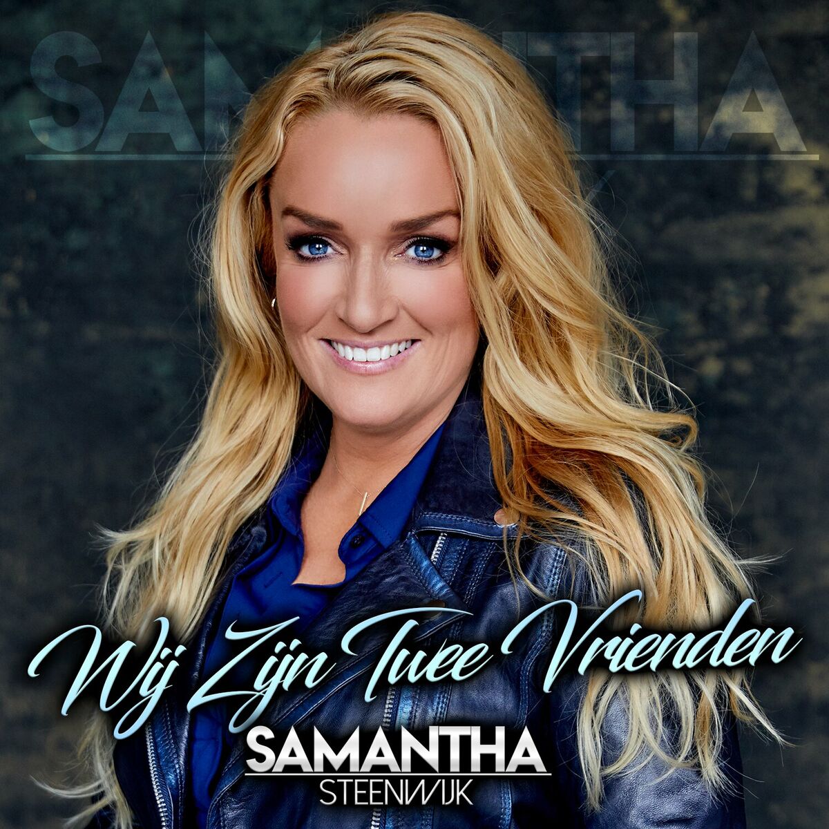 Album cover of Wij Zijn Twee Vrienden