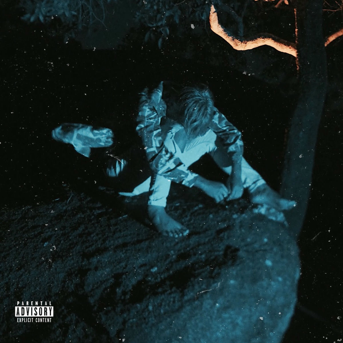 Album cover of Shleepin