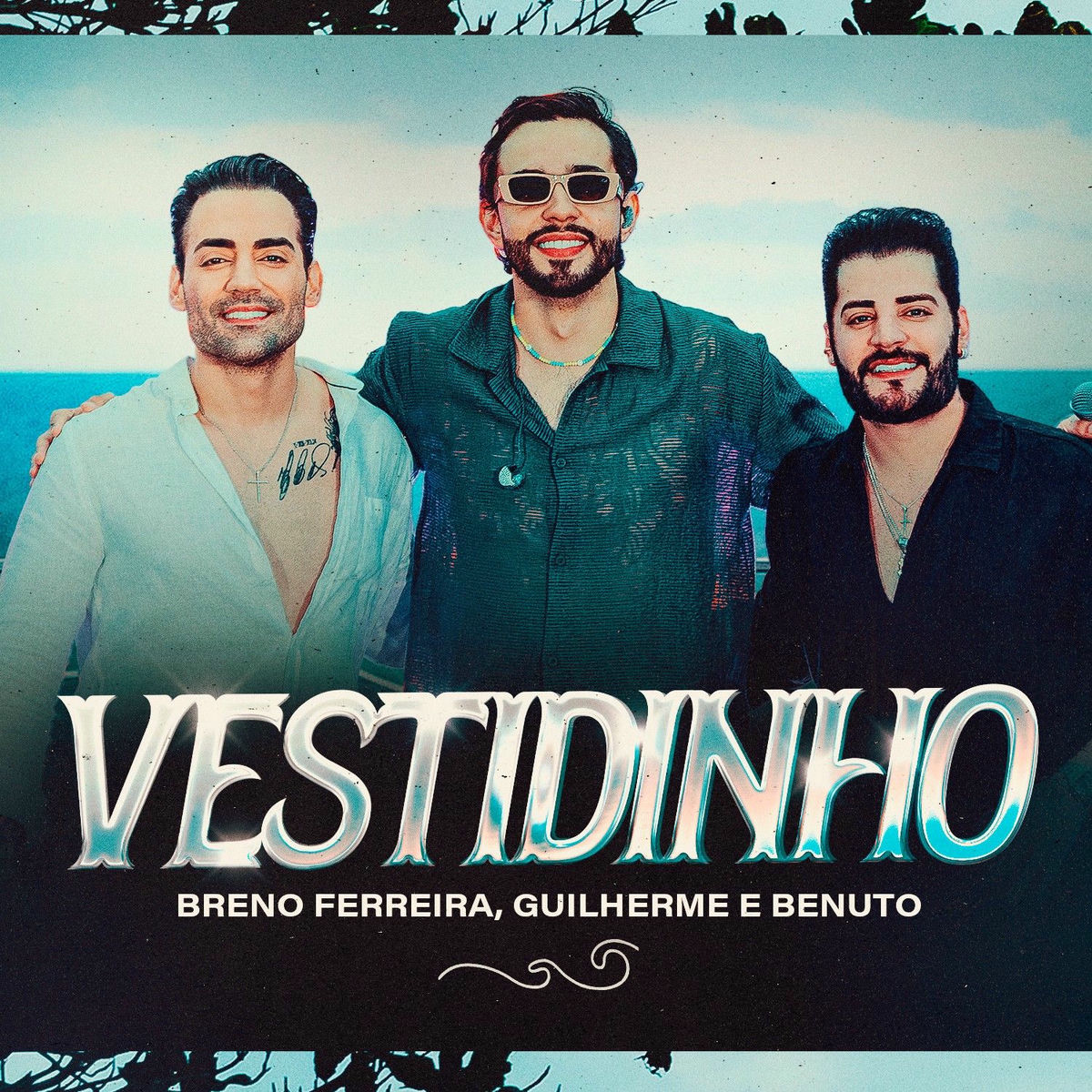 Album cover of Vestidinho