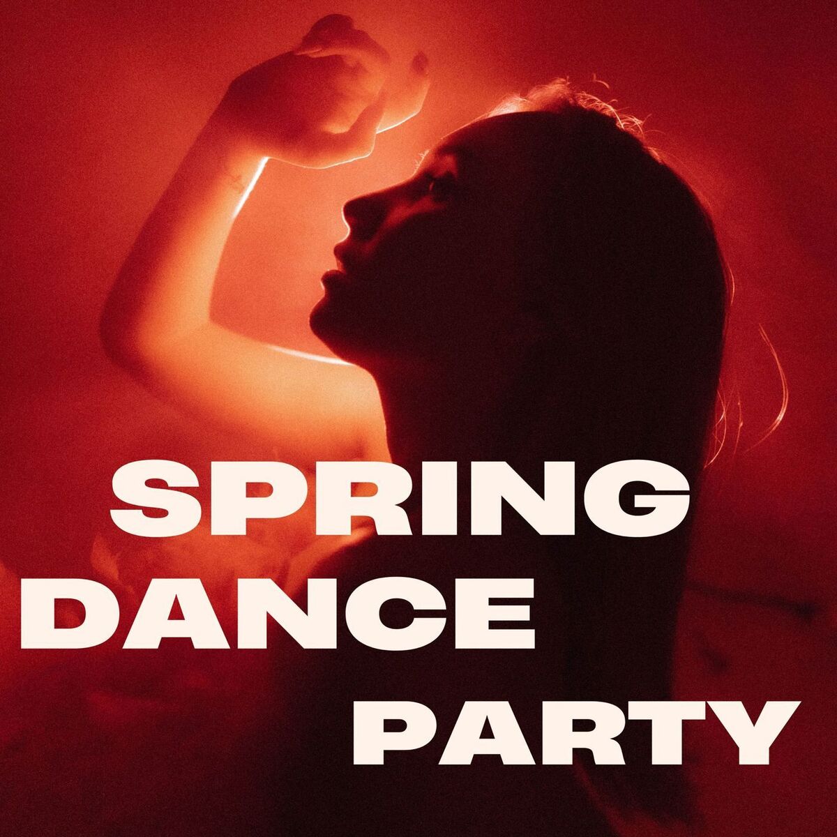 Album cover of Spring Dance Party
