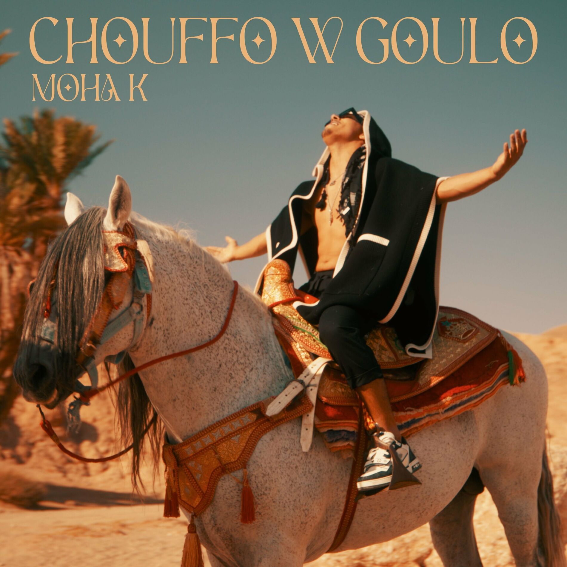 Album cover of Chouffo w Goulo