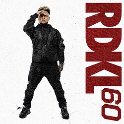 Cover of Radikal 60
