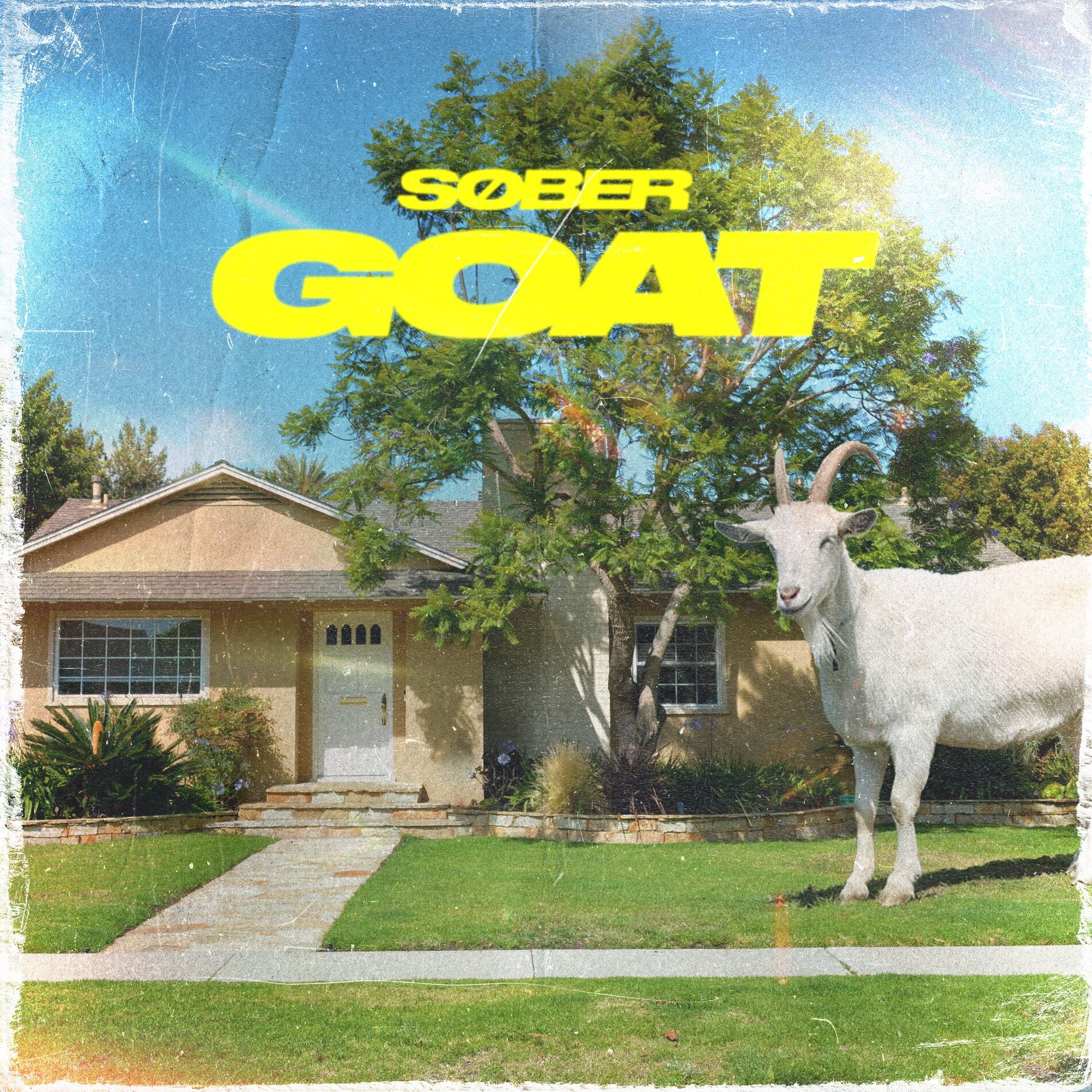 Album cover of GOAT