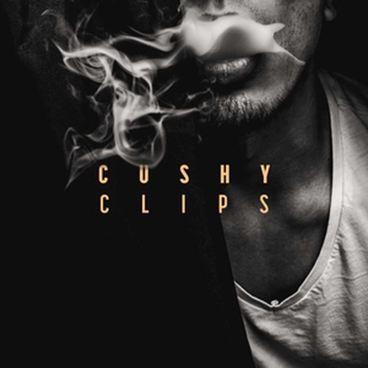 Album cover of Clips