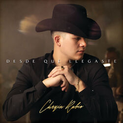 Cover of Desde Que Llegaste
