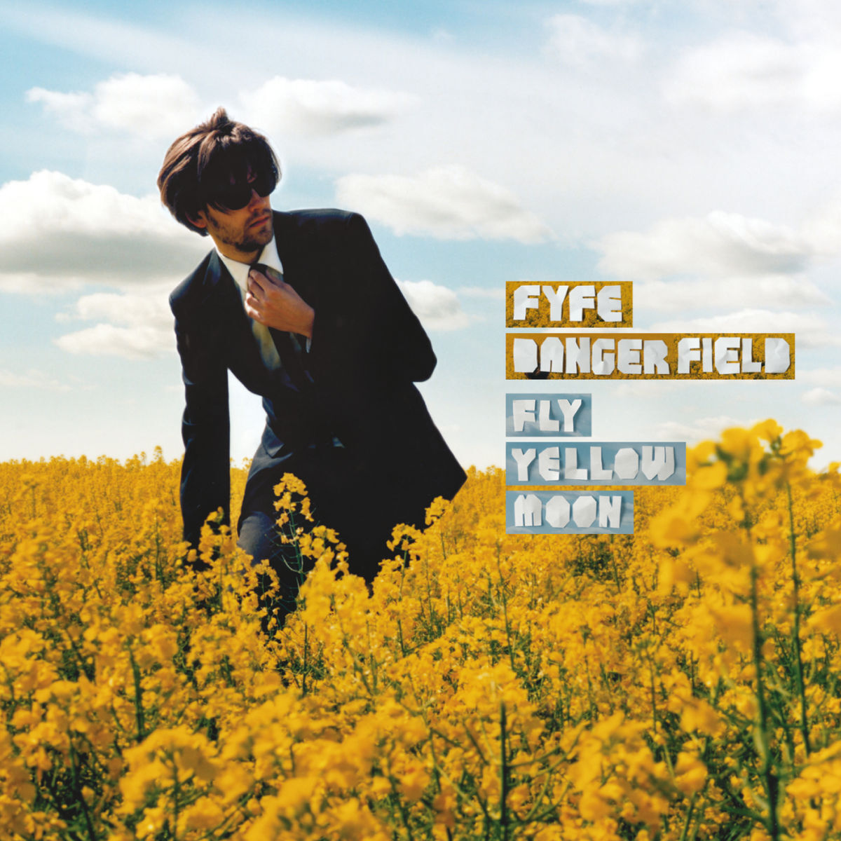 Album cover of Fly Yellow Moon