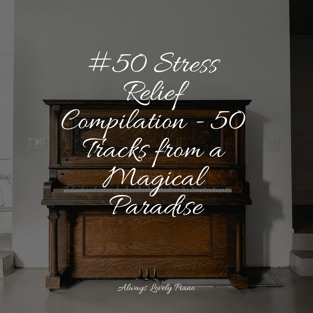 Picture of 50 Soft Piano Melodies for Stress Relief