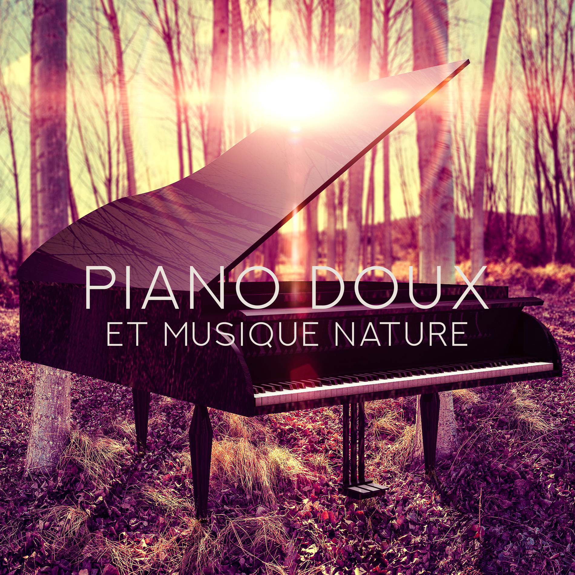 Album picture of Piano doux et musique nature: Atmosphère relaxante pour méditer, Soulager le stress