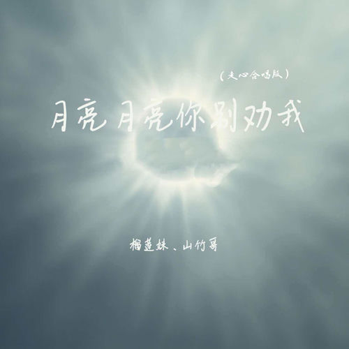 月亮月亮你别劝我 (走心合唱版)