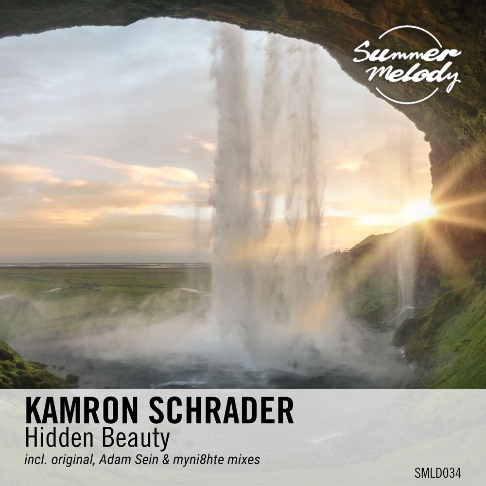 Picture of Hidden Beauty