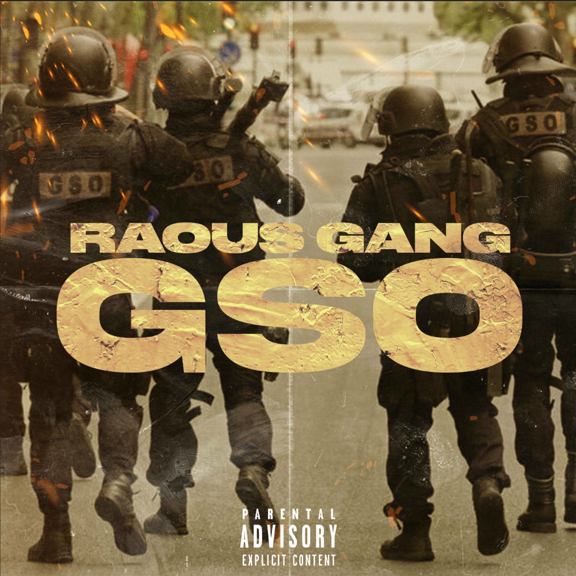 Album cover of Gso
