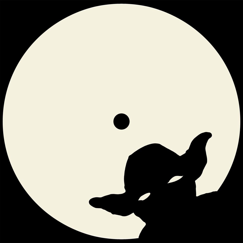 Picture of yoda bucuriei