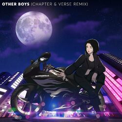 Cover of Other Boys (Chapter & Verse Remix)