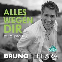 Cover of Alles wegen Dir (Tu mi piaci tu)