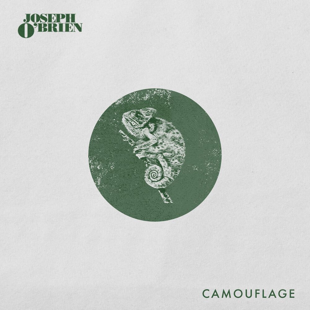 Picture of Camouflage