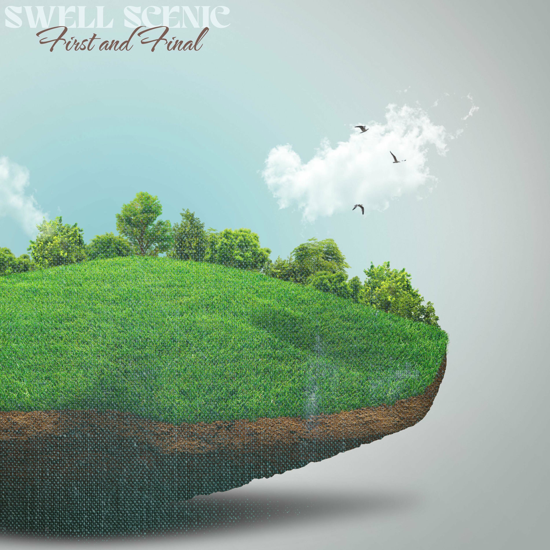 Album cover of First and Final (feat. Michael Shynes)