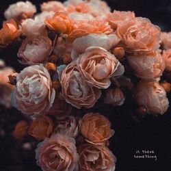 Cover of Is There Something?