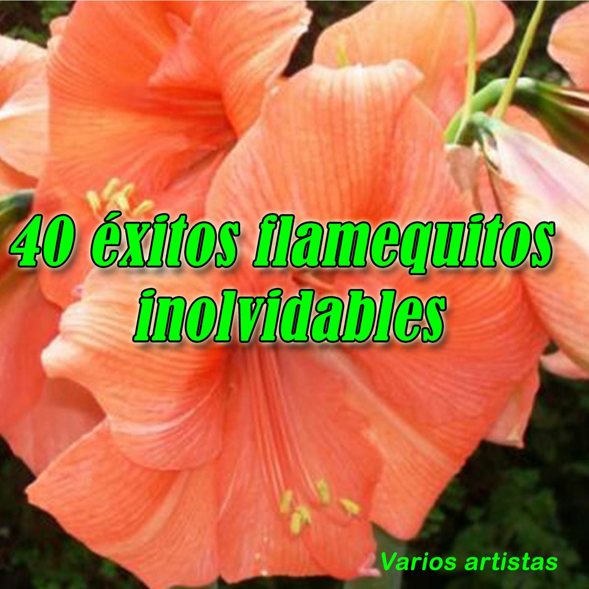 Album cover of 40 éxitos Flamenquitos Inolvidables