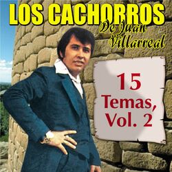 Cover of 15 Temas, Vol. 2