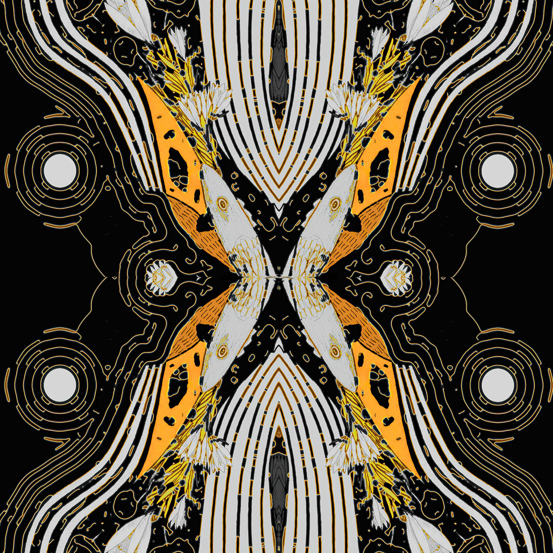 Album cover of International Love Affair