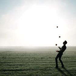 Cover of Coordination