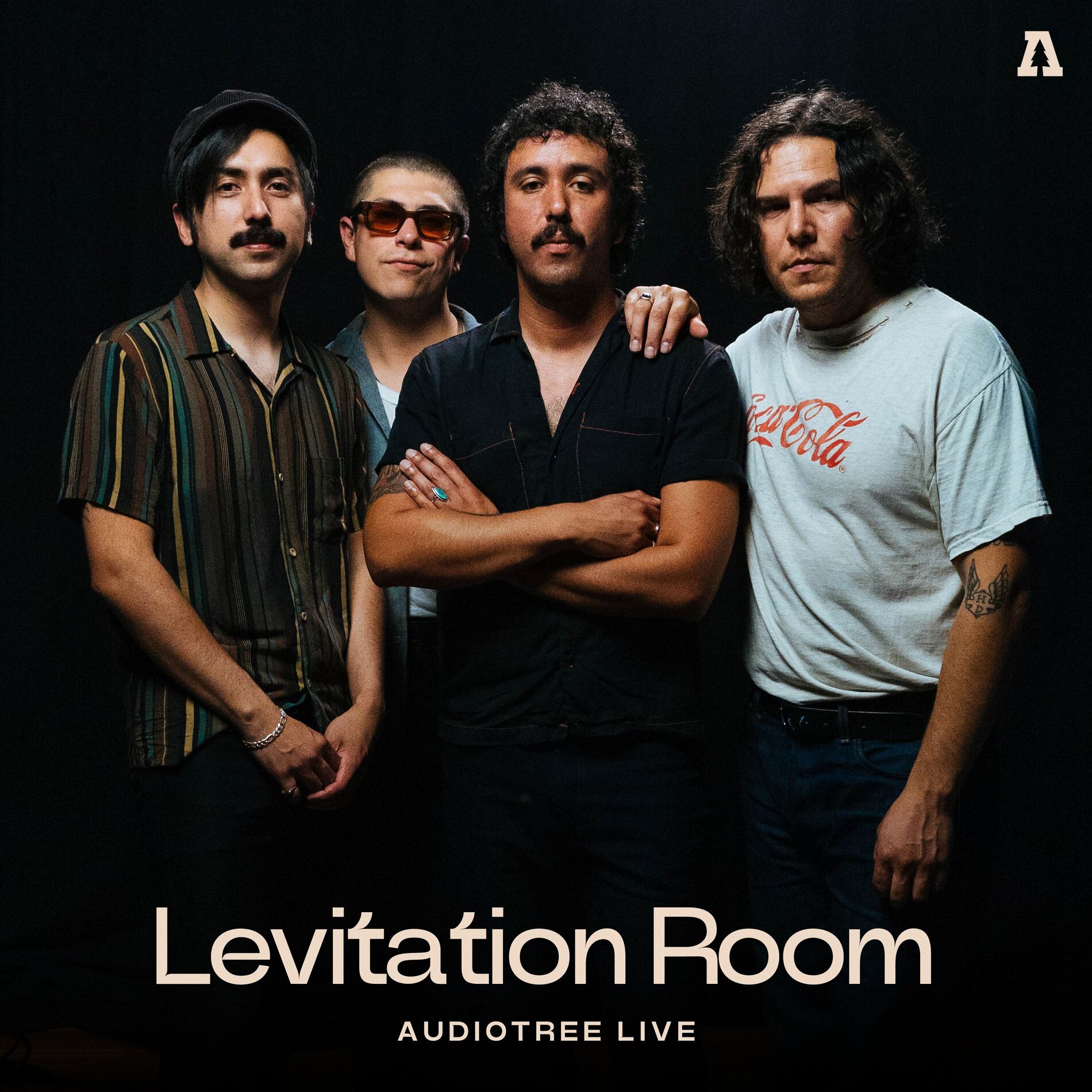 Album cover of levitation room on Audiotree Live