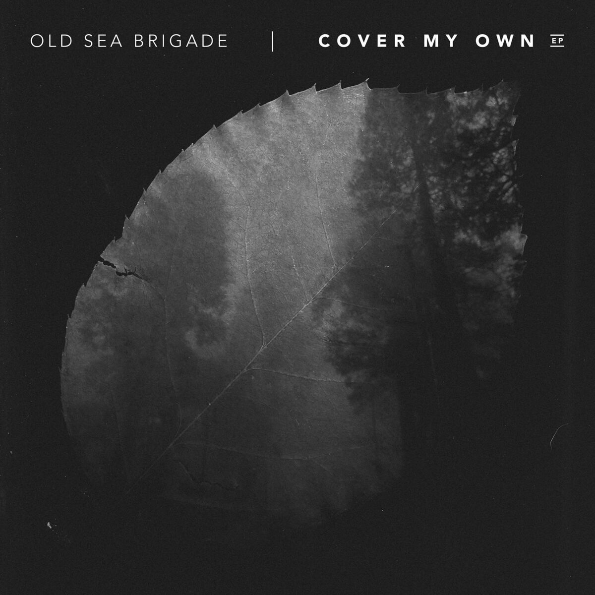 Album cover of Tidal Wave