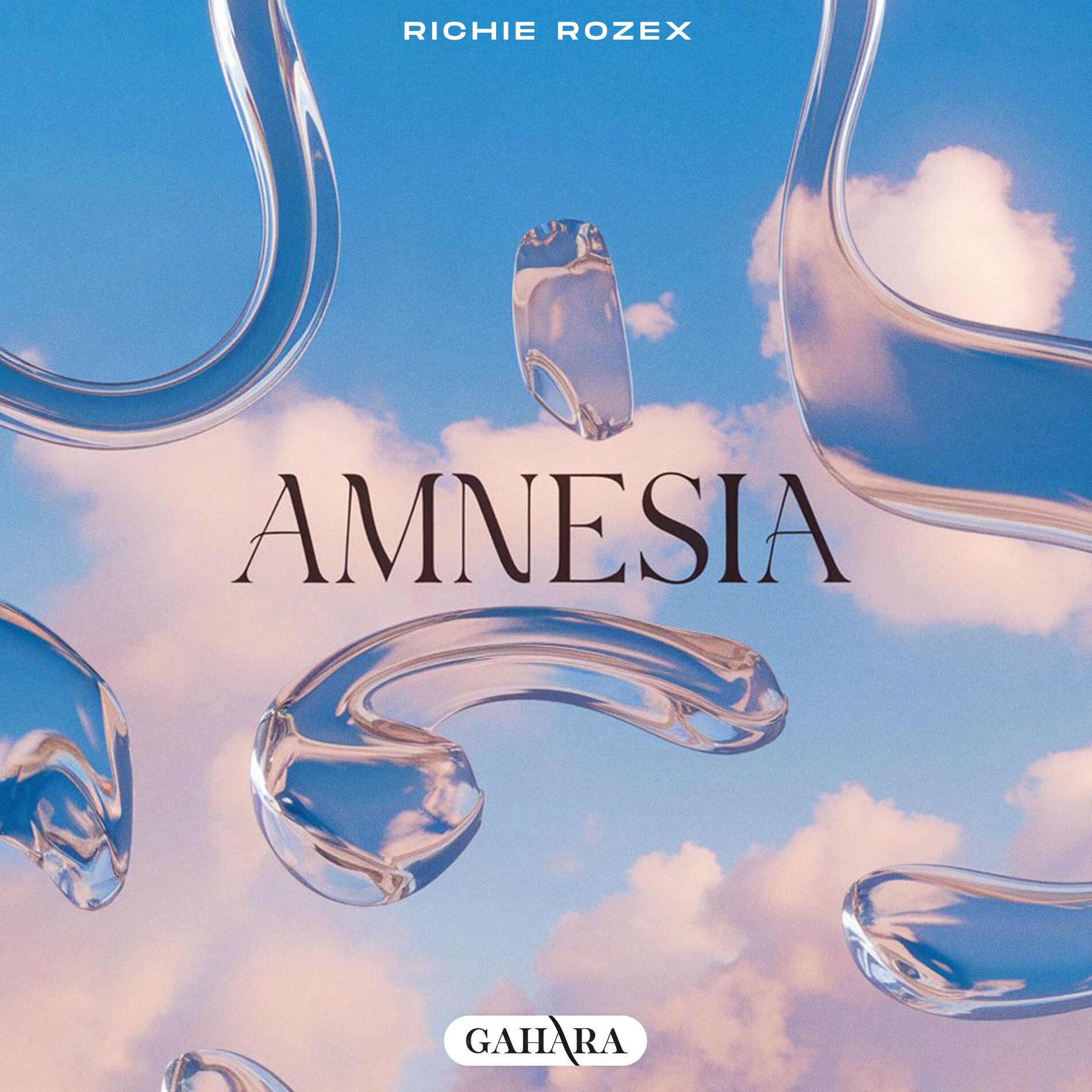Album cover of Amnesia