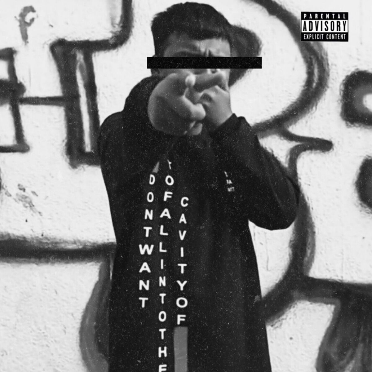 Album cover of Ciswav