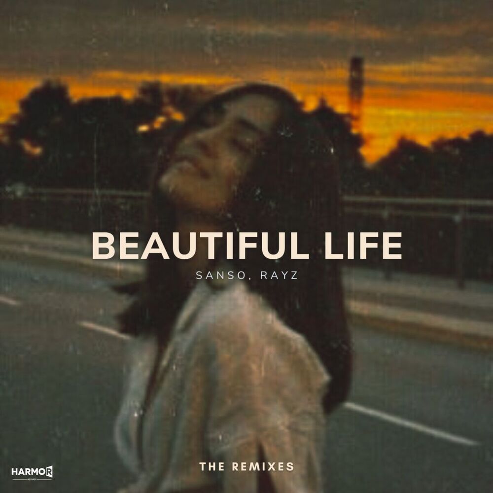 Picture of Beautiful Life (The Remixes)