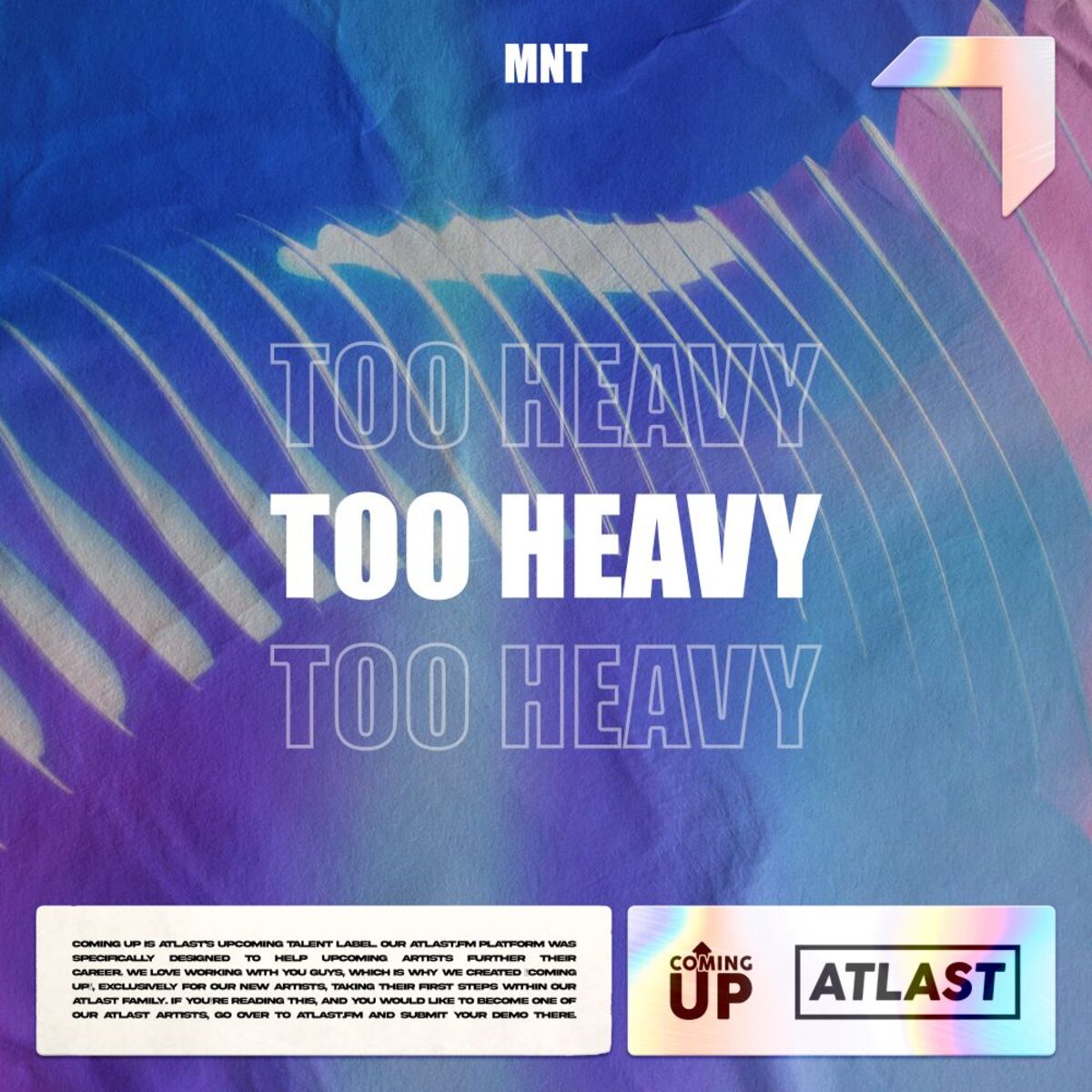 Album cover of Too Heavy