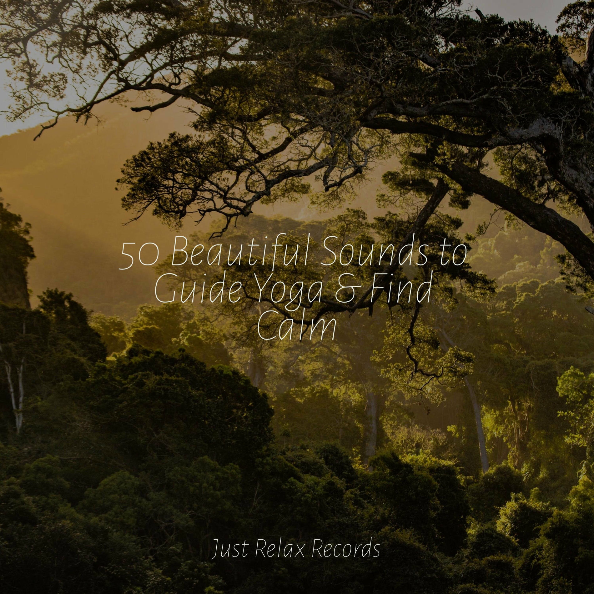 Album cover of 50 Beautiful Sounds to Guide Yoga & Find Calm