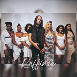 Cover of Raffinée