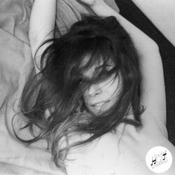 Cover of Les vitrines