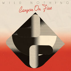 Cover of Canyon on Fire