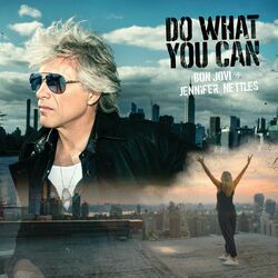 Cover of Do What You Can