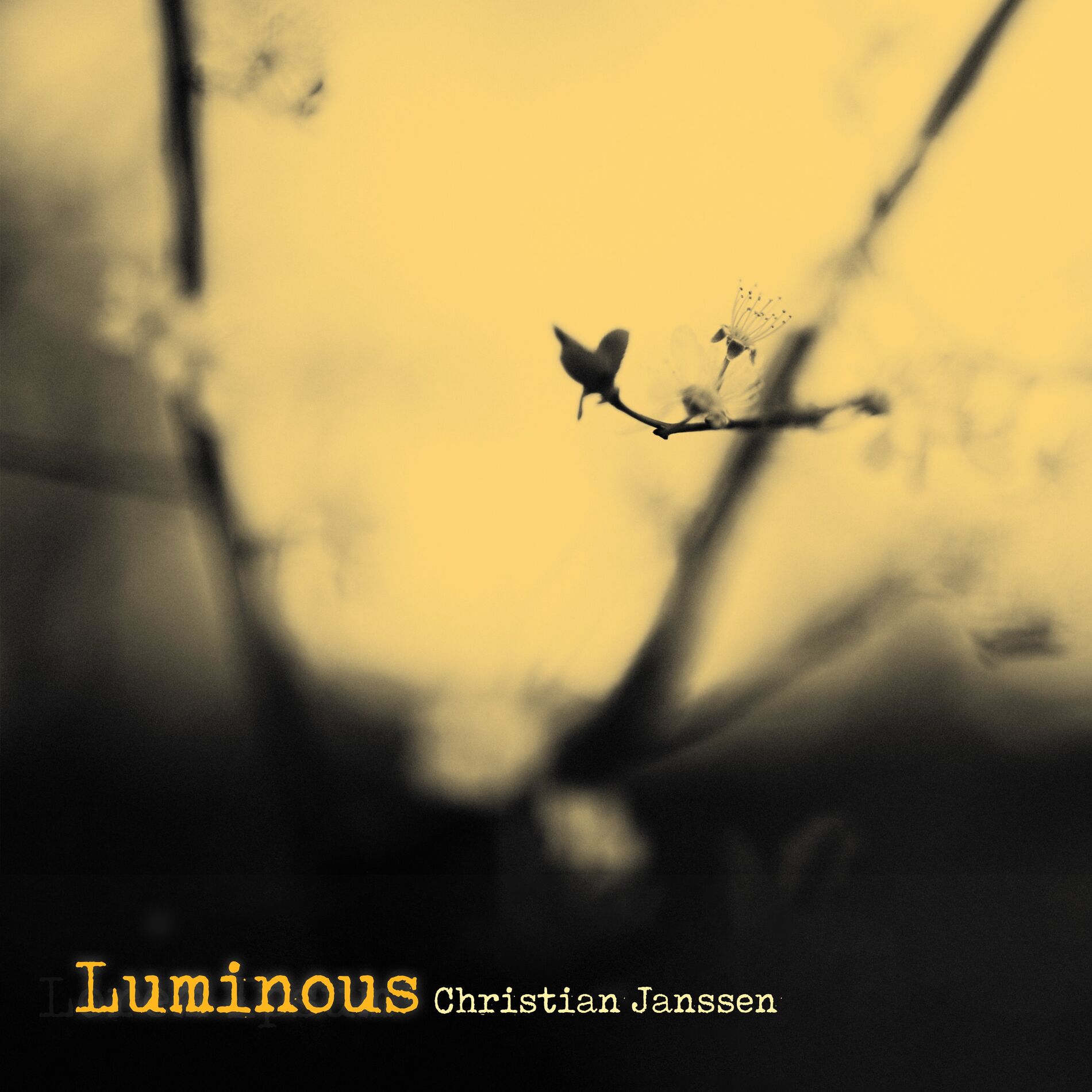 Album cover of Luminous