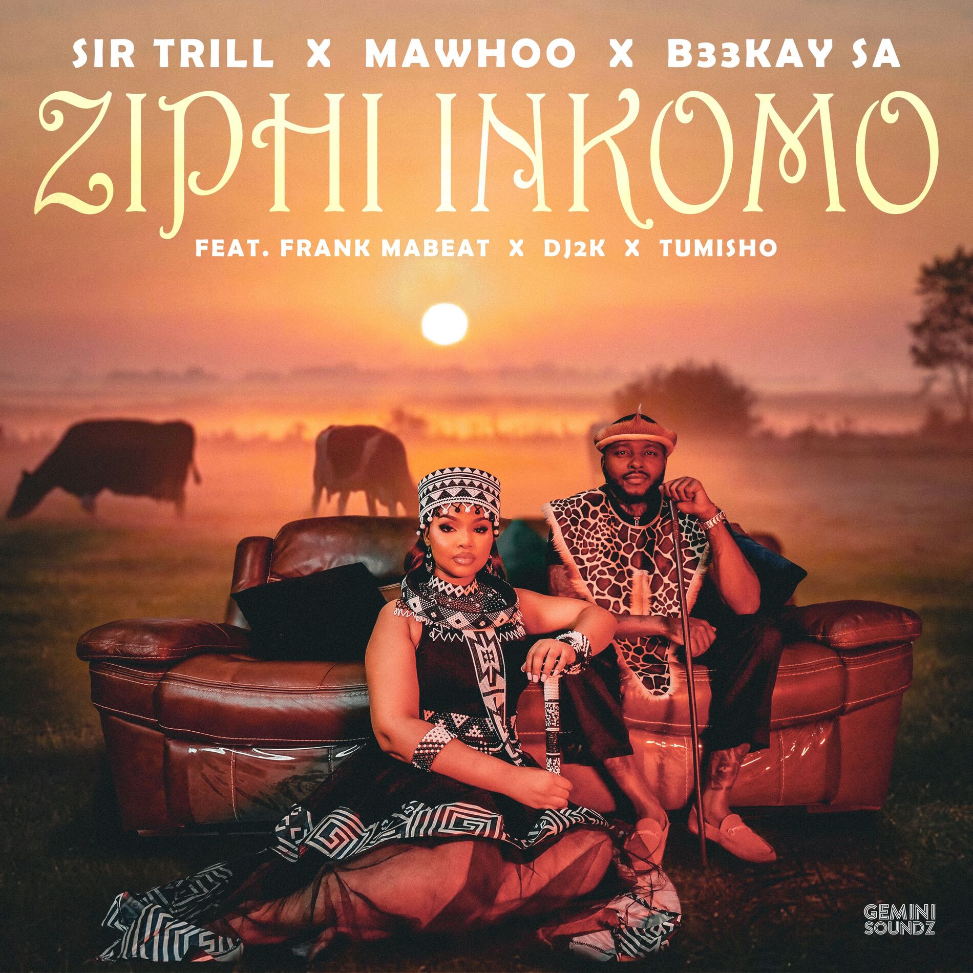 Album cover of Ziphi Inkomo (feat. DJ 2K, Frank Mabeat & Tumisho)