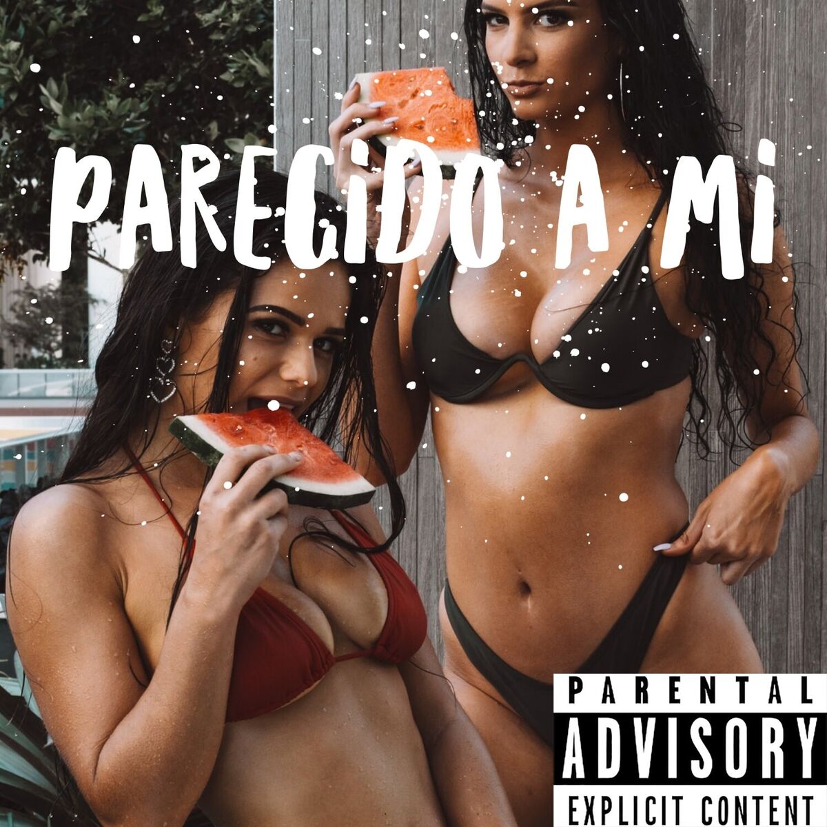 Album cover of Parecido a Mí