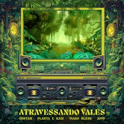 Cover of Atravessando Vales