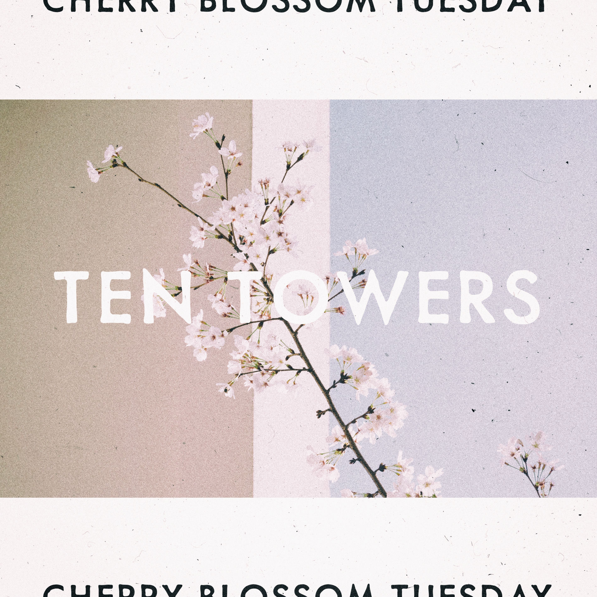 Album cover of Cherry Blossom Tuesday