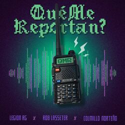 Cover of QMR