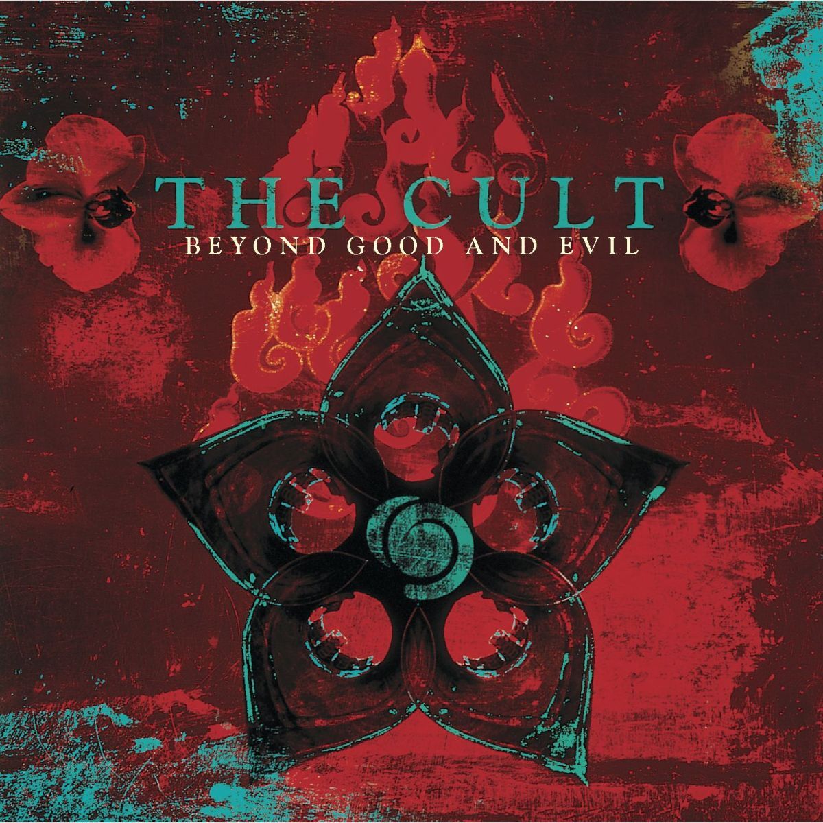 Album cover of Rise